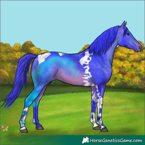 Horse Color:Watercolor Bay Tobiano 