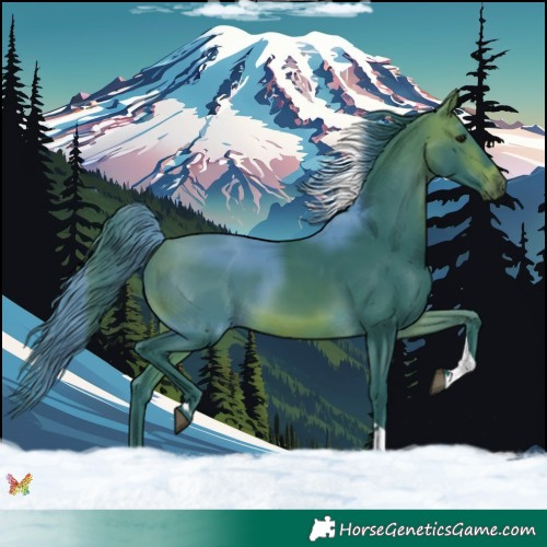 Horse Color:Watercolor Bay Tobiano 