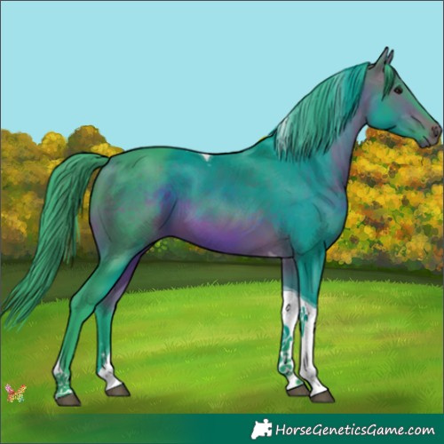 Horse Color:Watercolor Bay Tobiano 