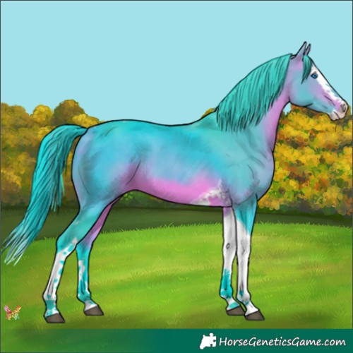 Horse Color:Watercolor Bay Splash Tobiano 