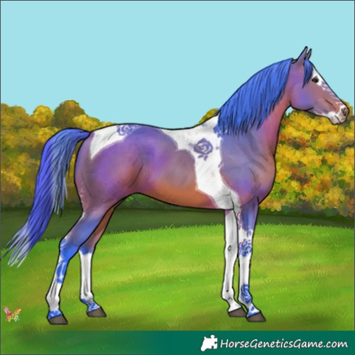 Horse Color:Watercolor Bay Splash Tobiano 