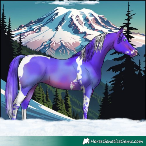 Horse Color:Watercolor Brown Splash Tobiano 