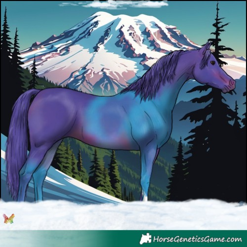 Horse Color:Watercolor Brown Tobiano 