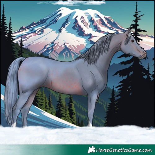 Horse Color:Watercolor Brown Tobiano 