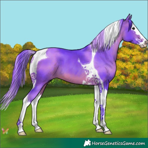 Horse Color:Watercolor Bay Splash Tobiano