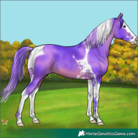 Horse Color:Watercolor Bay Splash Tobiano 