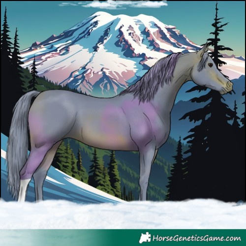 Horse Color:Watercolor Bay Tobiano 