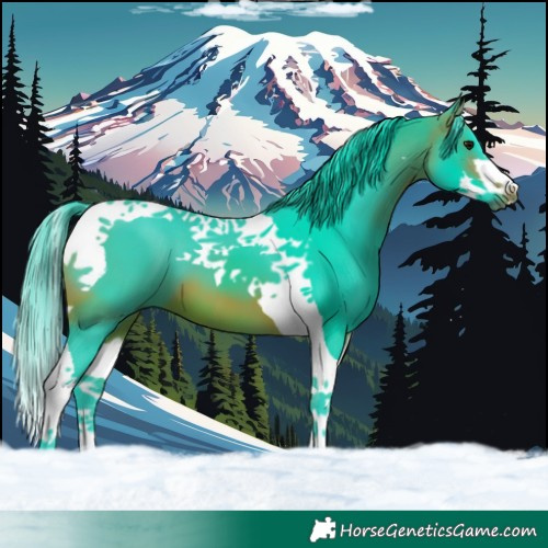 Horse Color:Watercolor Bay Splash Tobiano 