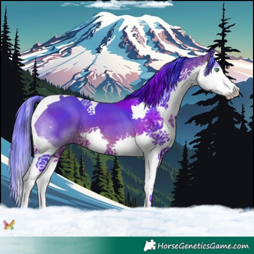 Horse Color:Watercolor Bay Splash Tobiano 