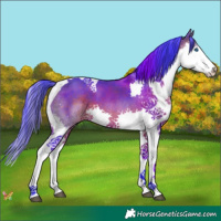 Horse Color:Watercolor Bay Splash Tobiano 