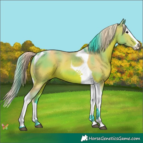 Horse Color:Watercolor Brown Splash Tobiano 
