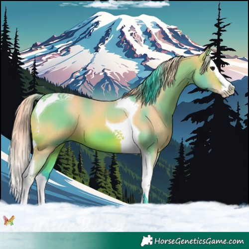 Horse Color:Watercolor Brown Splash Tobiano 