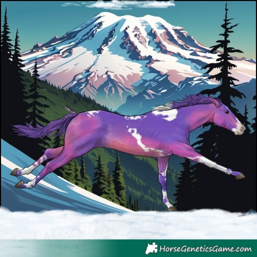 Horse Color:Watercolor Brown Splash Tobiano 