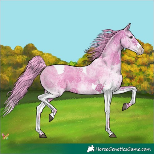 Horse Color:Watercolor White Spotted Bay Splash Tobiano 