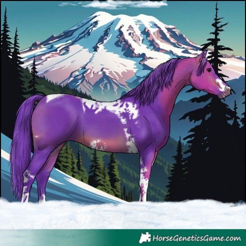 Horse Color:Watercolor Brown Tobiano Frame 