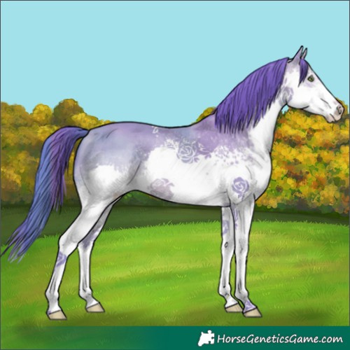Horse Color:Watercolor White Spotted Sable Champagne Splash Tobiano Rabicano 