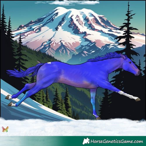 Horse Color:Watercolor Brown Tobiano 