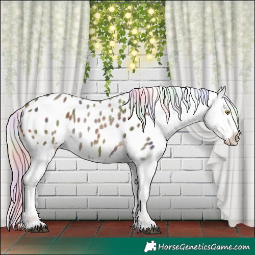 Horse Color:Nacre Silver Brown Appaloosa 
