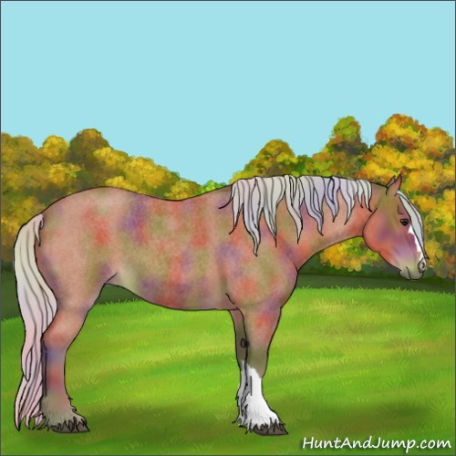 Horse Color:Nacre Silver Bay Roan 