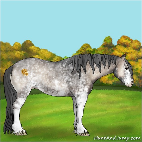 Horse Color:White Spotted Blue Onyx 