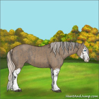 Horse Color:Grullo Sabino Splash  and Silver Grullo Sabino Splash 