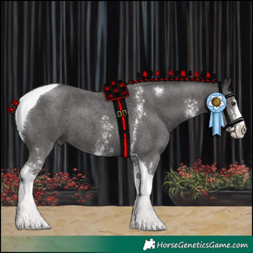 Horse Color:Liver Chestnut Sabino Tobiano 