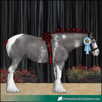 Horse Color:Liver Chestnut Sabino Tobiano