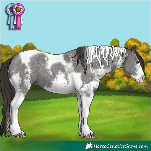 Horse Color:Liver Chestnut Sabino Tobiano