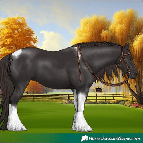 Horse Color:Liver Chestnut Tobiano 