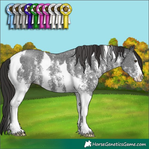 Horse Color:Liver Chestnut Sabino Tobiano 