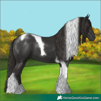 Horse Color:Liver Chestnut Tobiano