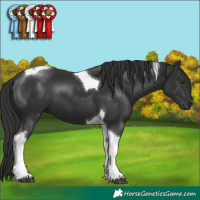 Horse Color:Liver Chestnut Tobiano 