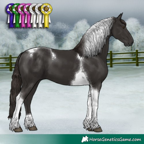 Horse Color:Liver Chestnut Tobiano 