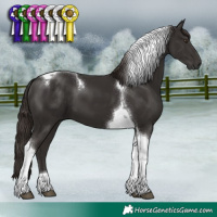 Horse Color:Liver Chestnut Tobiano 