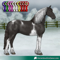 Horse Color:Liver Chestnut Tobiano 