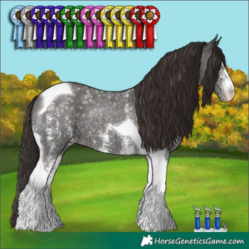 Horse Color:Liver Chestnut Sabino Tobiano 