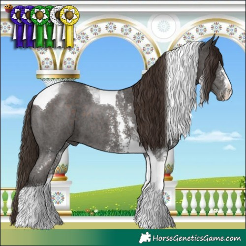 Horse Color:Liver Chestnut Sabino Tobiano