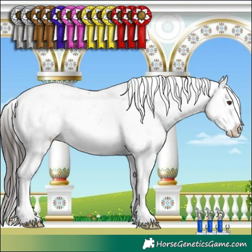 Horse Color:Liver Chestnut Sabino 