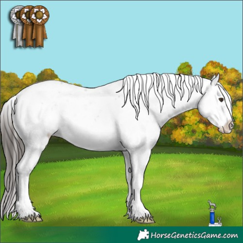 Horse Color:Liver Chestnut Sabino 