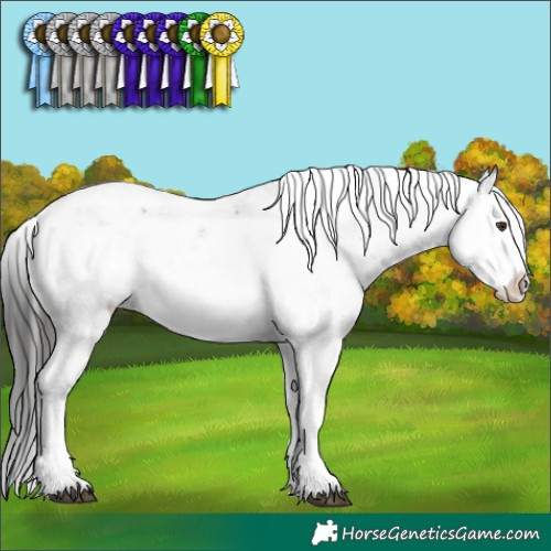 Horse Color:Liver Chestnut Sabino