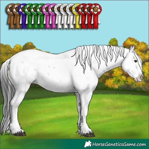 Horse Color:Liver Chestnut Sabino 