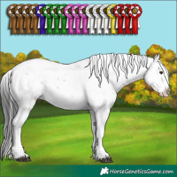 Horse Color:Liver Chestnut Sabino