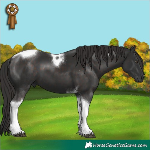 Horse Color:Liver Chestnut Tobiano 