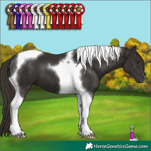 Horse Color:Liver Chestnut Tobiano 