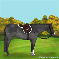 Horse Color:Black Rabicano 