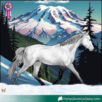 Horse Color:Gray White Spotted Chocolate Bay Chinchilla Ice Splash 