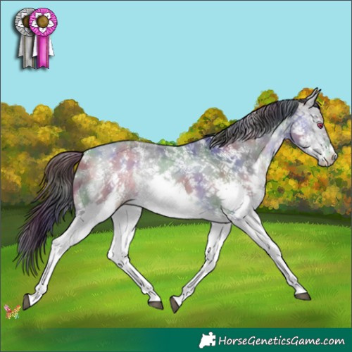 Horse Color:Nacre White Spotted Bay Chinchilla 