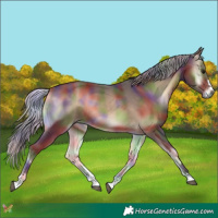 Horse Color:Nacre Silver Brown Onyx 