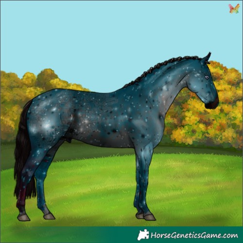 Horse Color:ERROR: UNKNOWN ANOMALY