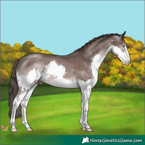 Horse Color:Platinum Liver Chestnut Splash 